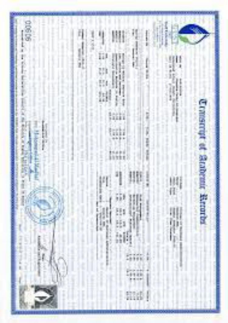 Buy Degree From the Gulf University for Science and Technology