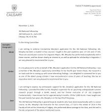 Reference Letter by a Second Professor