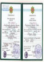 Buy Degree From the State Energy Institute of Turkmenistan