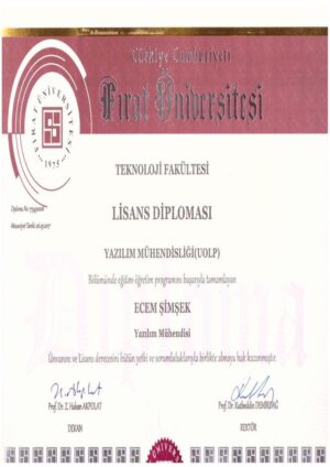 Buy college degree from the Firat Üniversitesi