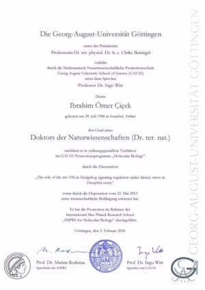 Buy college degree from the Georg-August-Universität Göttingen