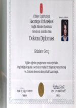 Buy college degree from the  Hacettepe Üniversitesi