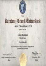 Buy college degree from the Karadeniz Teknik Üniversitesi