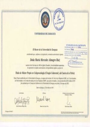Buy college degree from the Universidad de Zaragoza