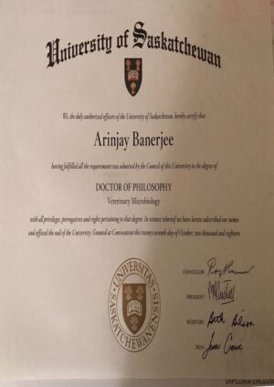 Buy college degree from The University of Saskatchewan