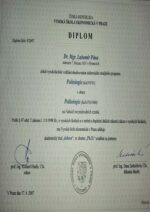 Buy college degree from The Vysoká škola ekonomická v Praze