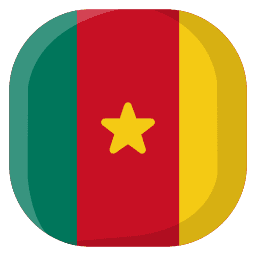 cameroon universities